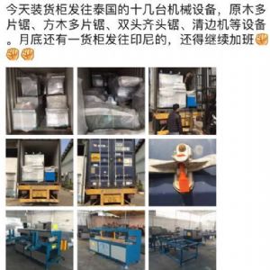 泰國東部加工橡膠木生產設備，圓木多片鋸生產線